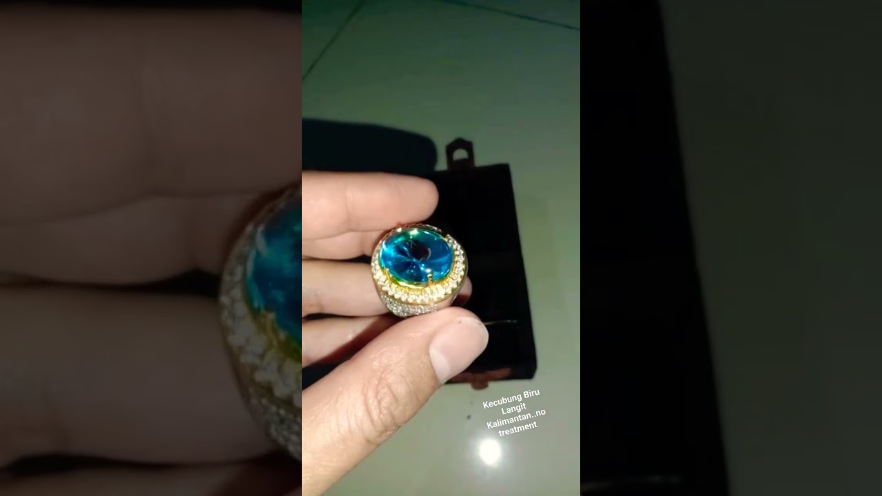 Kecubung Biru Langit Kalimantan 