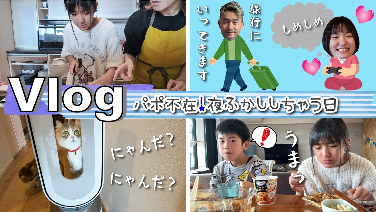 ★Vlog★パポが旅行でいないので・・・夜更かししちゃう日♪