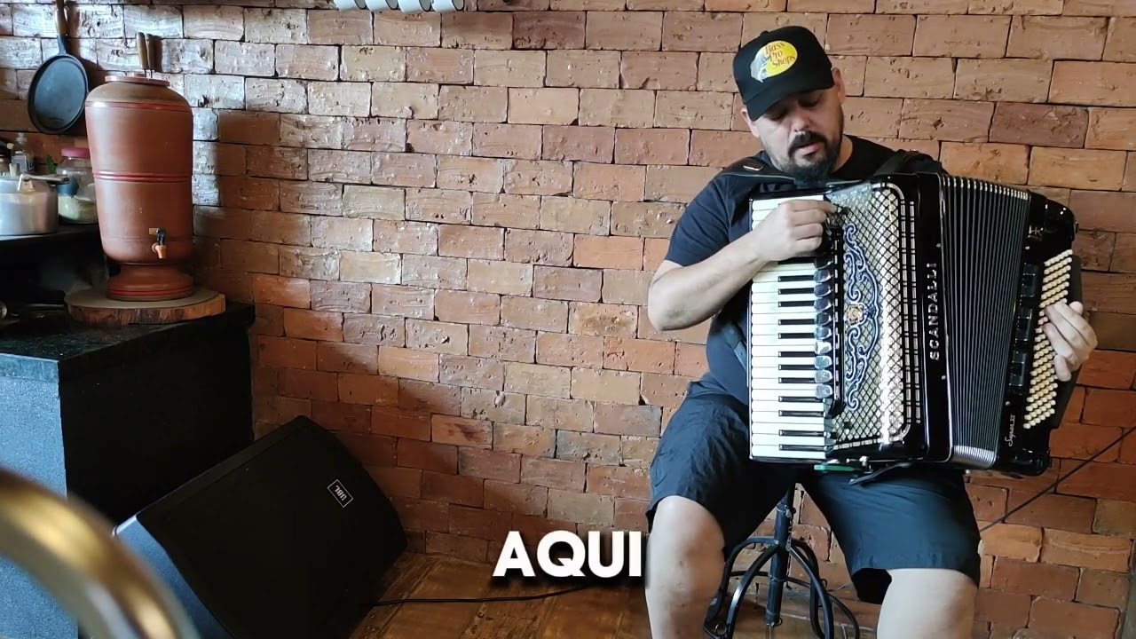 demonstração captação para acordeon harmonik ac-5001 FX