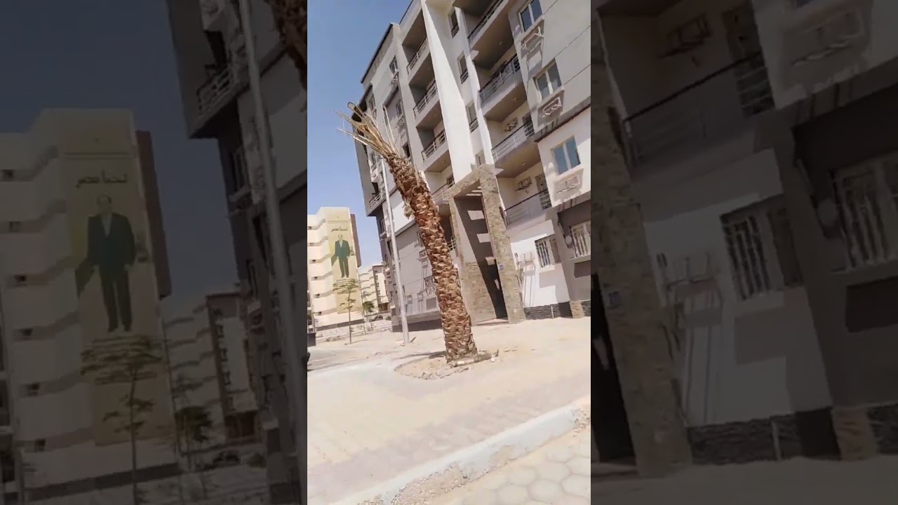سكن موظفي العاصمة  أثناء خروج المصلين من مسجد الشيخ سعيد عقب صلاة الجمعة  زهرة العاصمة