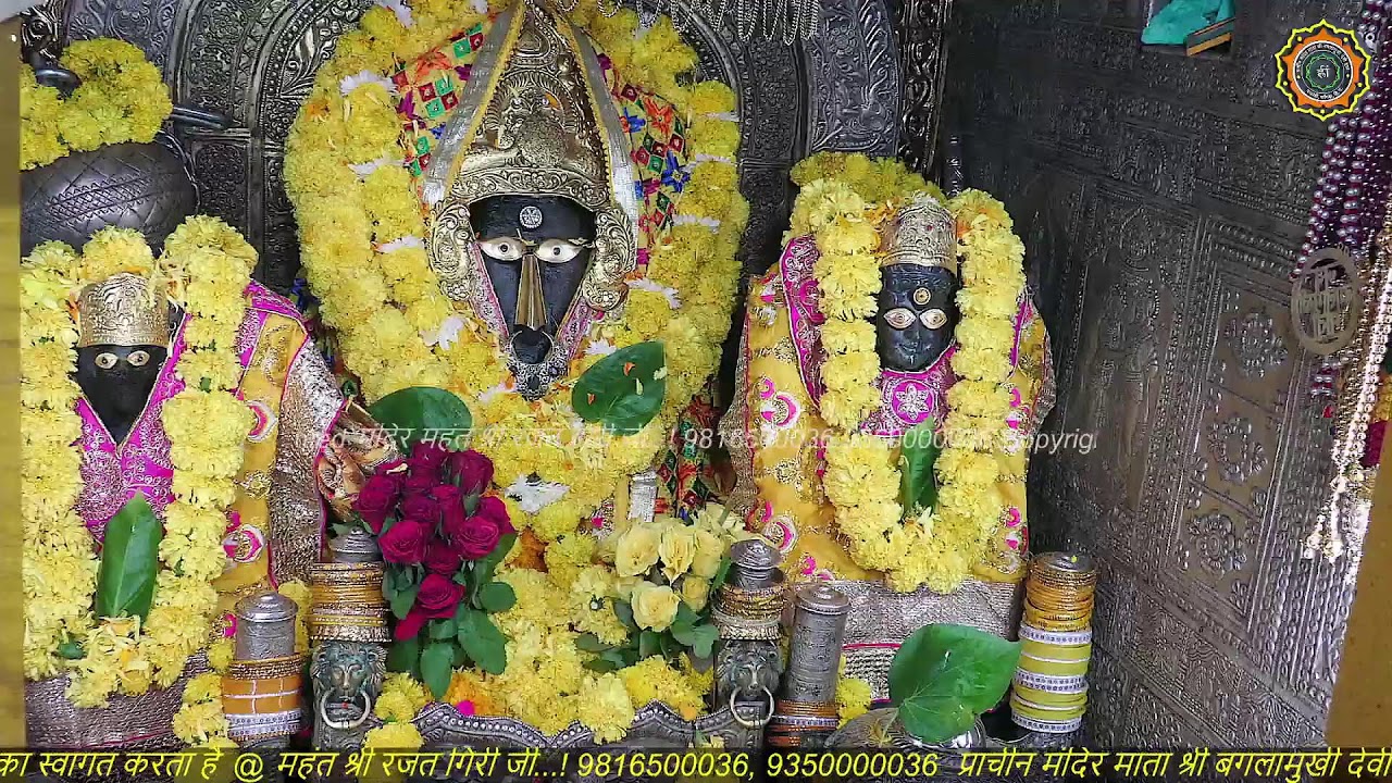 Maa Baglamukhi Official_Live Darshan_mahant shree Rajat giri ji_