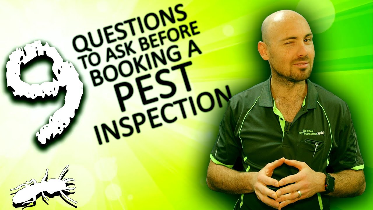 TOP 9 Questions to Ask BEFORE booking a Pest Inspection