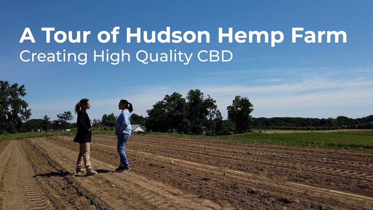 A Tour of Hudson Hemp Farm: Growing High Quality Organic Medical Cannabis and CBD