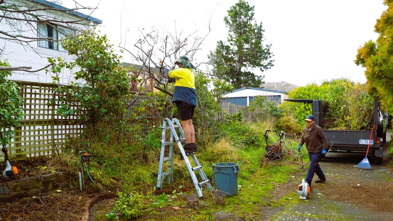 What Happens When a TEAM of Experts RENOVATES a NEGLECTED Yard?