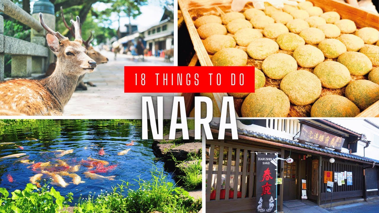 18 Things To Do in Nara, Japan (Travel Guide)