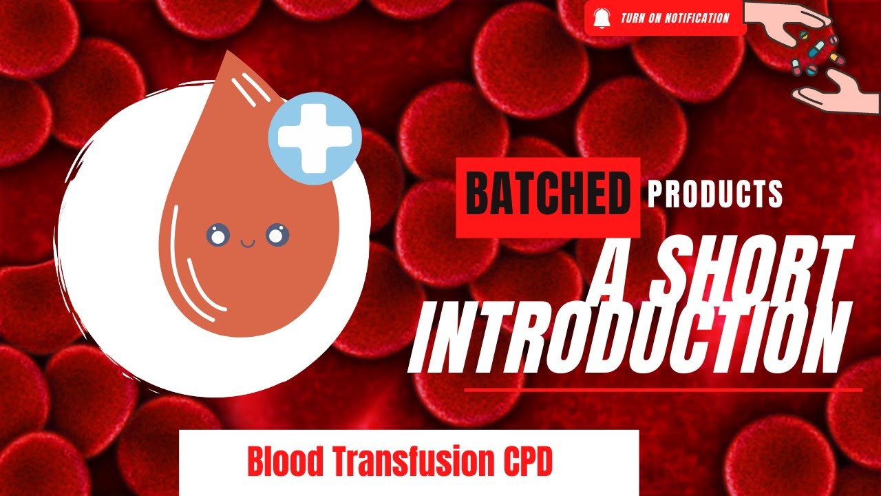 Introduction to Batched Products
