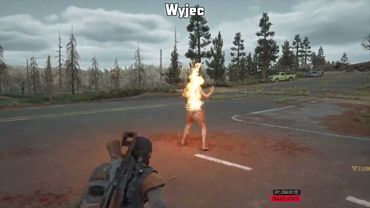 Test Paralizatora IPCA (NERO) na Świrusach - Traszce, Biegaczu, Łamaczu, Kąsaczu itd. | Days Gone