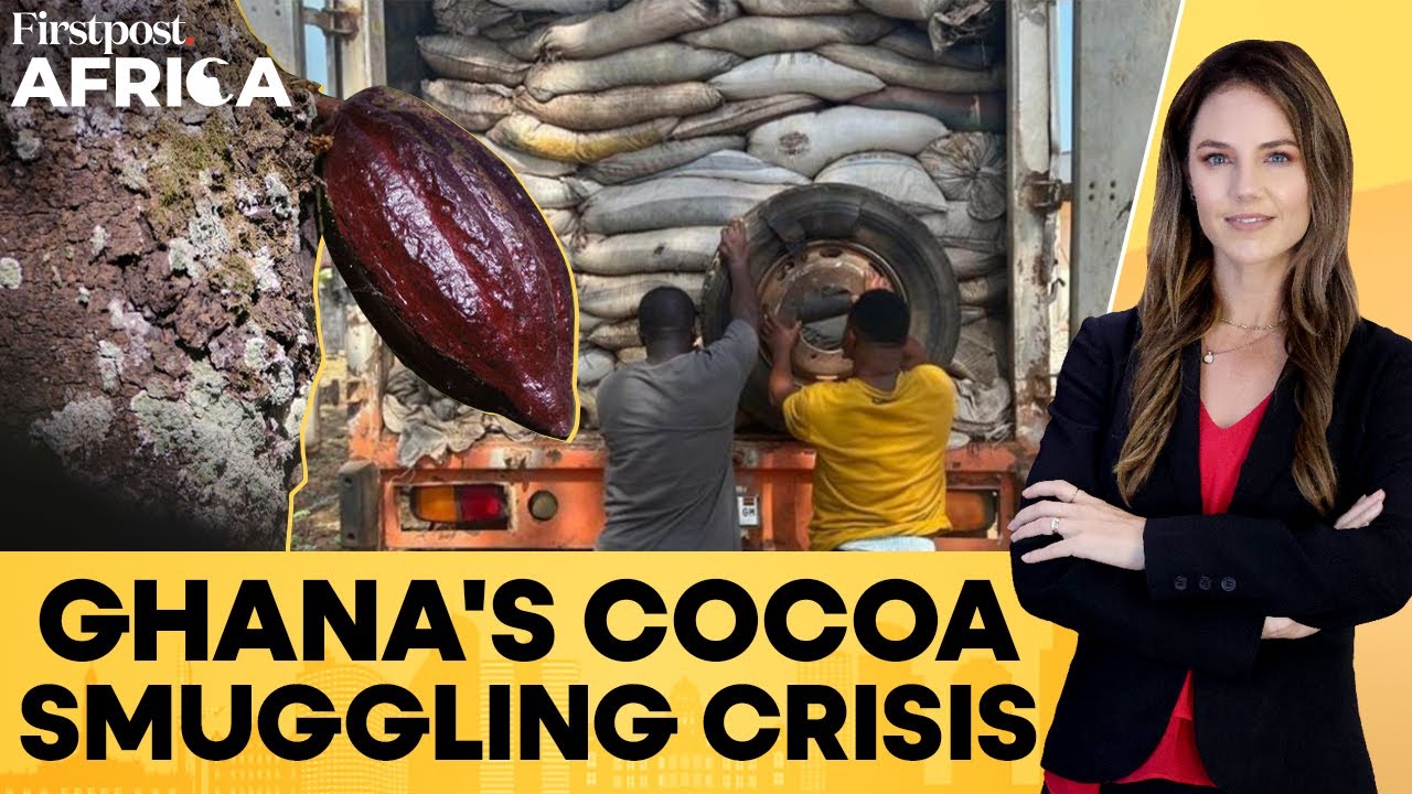 Chocolates To Get Expensive? Ghana Loses 160,000 Tonnes of Cocoa to Smuggling | Firstpost Africa