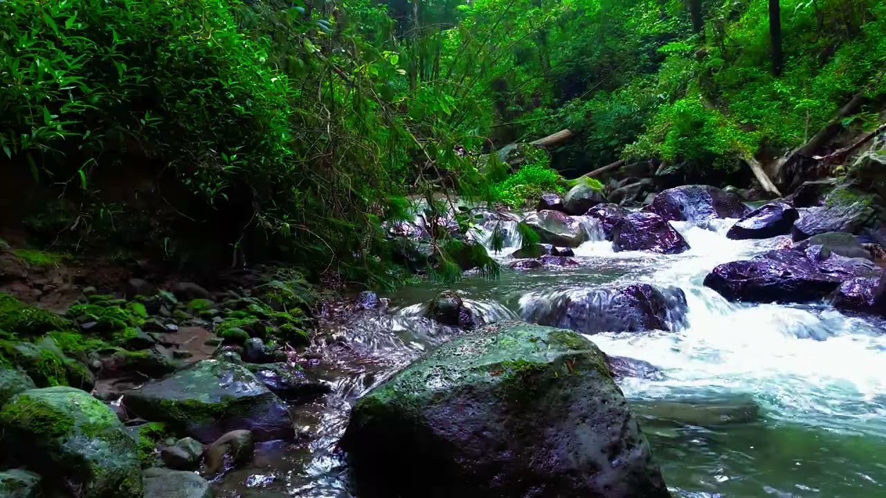 Nature River Soundscape – Deep Sleep, Dream Far | sleep - relax - enjoy life - ASMR