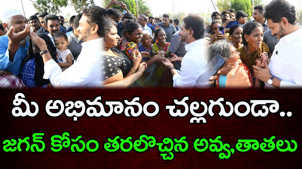 జగన్ కోసం తరలొచ్చినా కార్యకర్తలు | YS Jagan Pulivendula Tour :  Top Telugu News