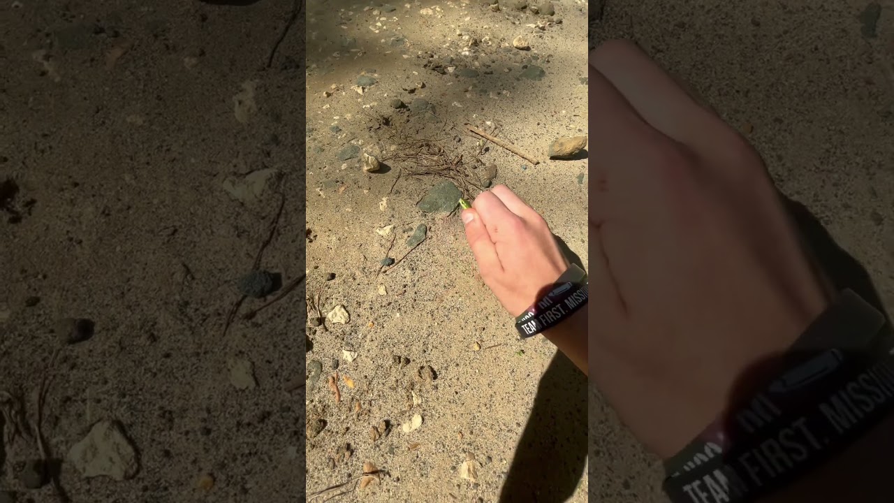 I caught a snake with my bare hands