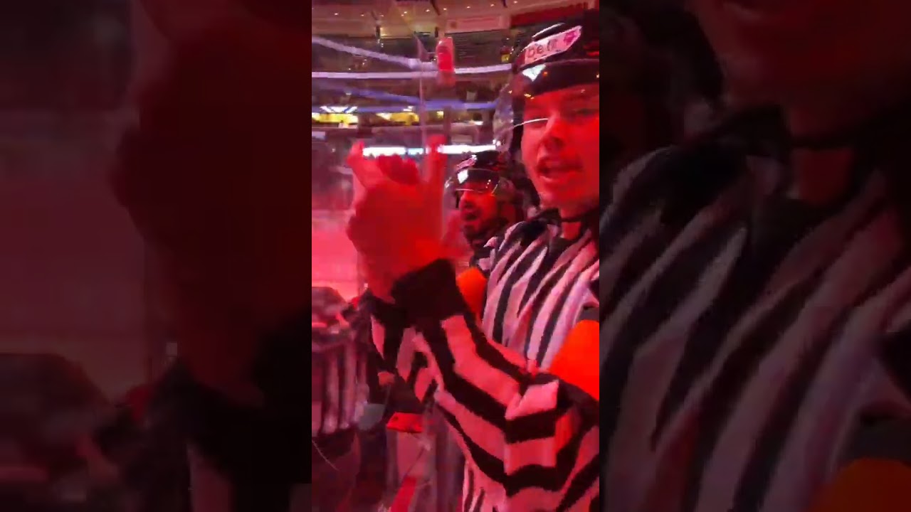 POV: you go to an NHL game to root on the Refs #shorts