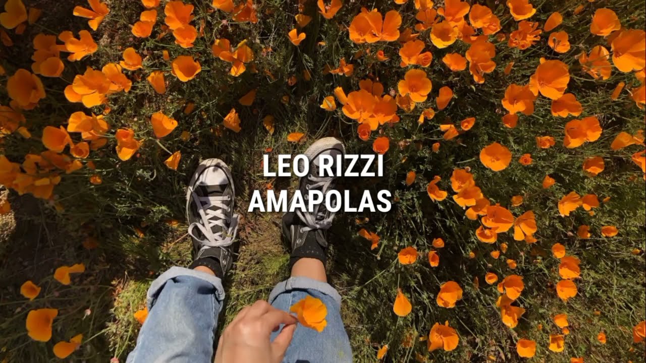 Amapolas - Leo Rizzi // letra