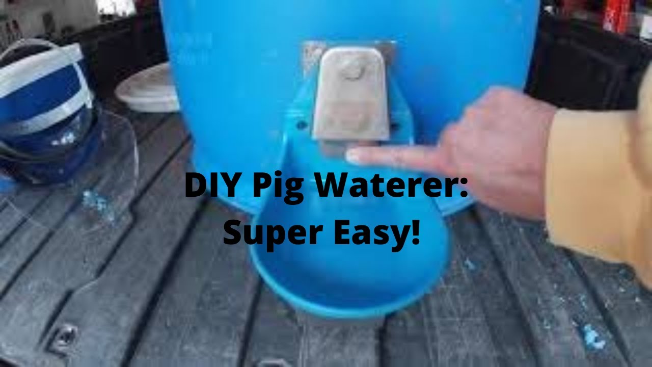 DIY Pig Waterer #Diypigwaterer #yogihollowfarm