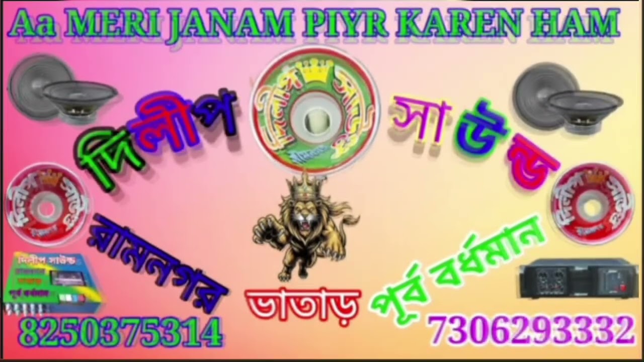দিলীপ সাউন্ড ডাইলক মিক্সস গান 