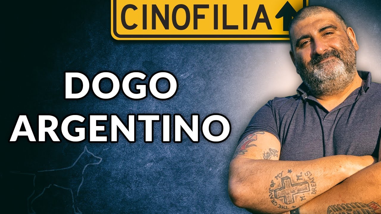 Il Dogo Argentino