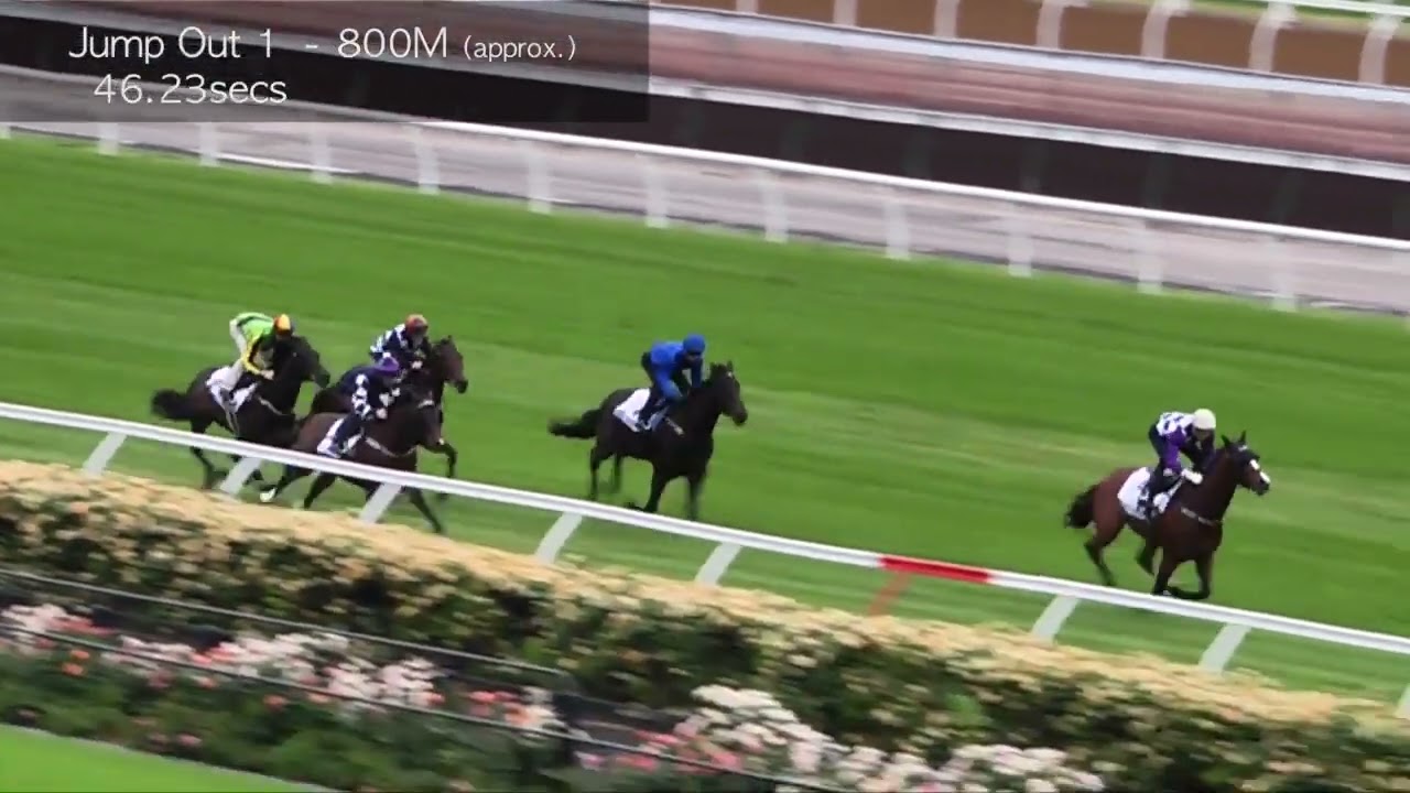 Flemington Jumpouts | 23 October 2015 | Heat 1