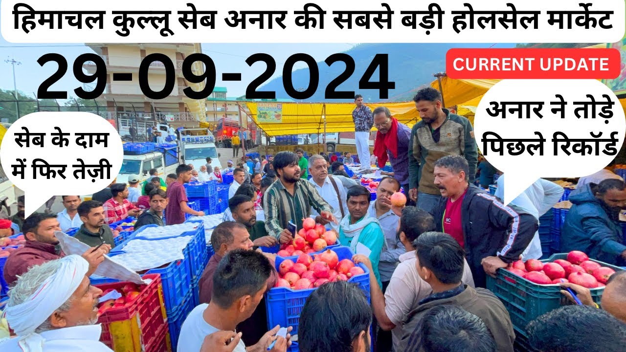 हिमाचल कुल्लू सेब अनार की सबसे बड़ी होलसेल मार्केट🍎सेब और अनार के भाव में तेज़ी | 29 SEPTEMBER 2024