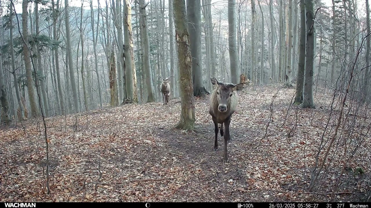 Fotopasca Rajecká Dolina, Január,Február,Marec 2025