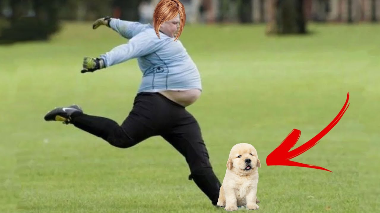 r/Entitledparents Woman Kicks A Service Dog, Gets Arrested!