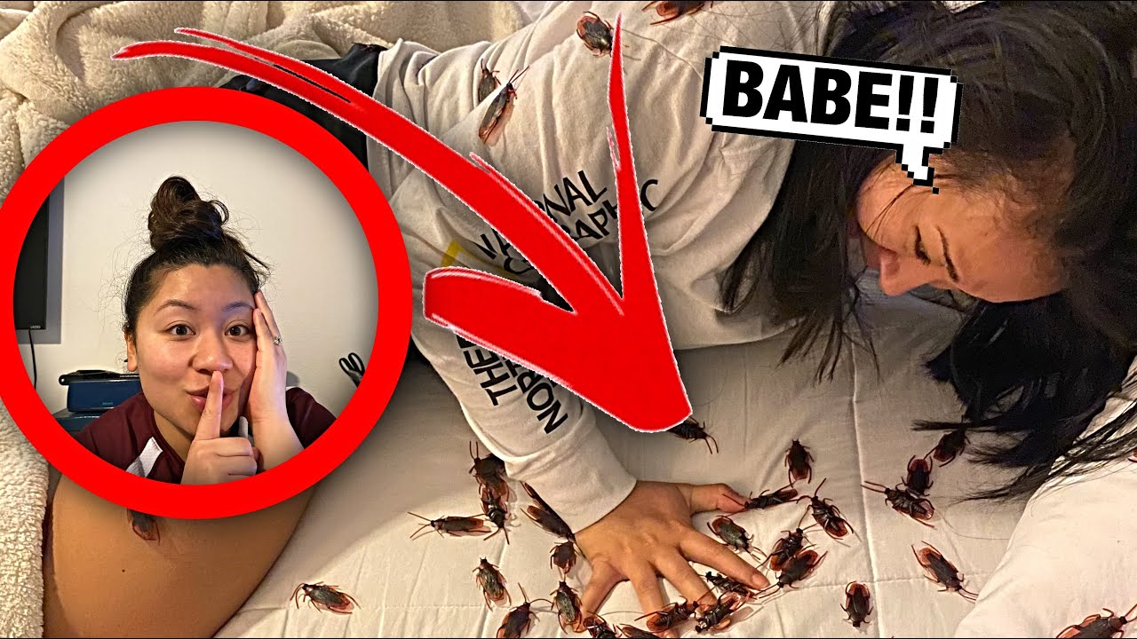 Dumping 1,000 COCKROACHES On My WIFE While She SLEEPS! **BAD IDEA!**