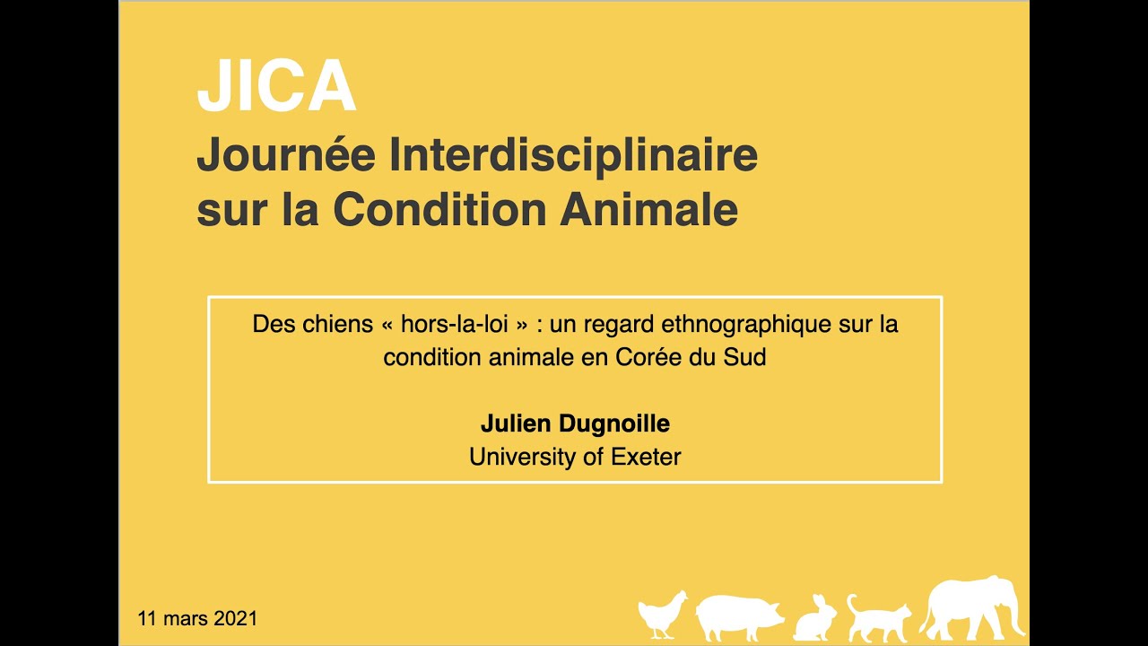 JICA 3 - Julien Dugnoille (2021)