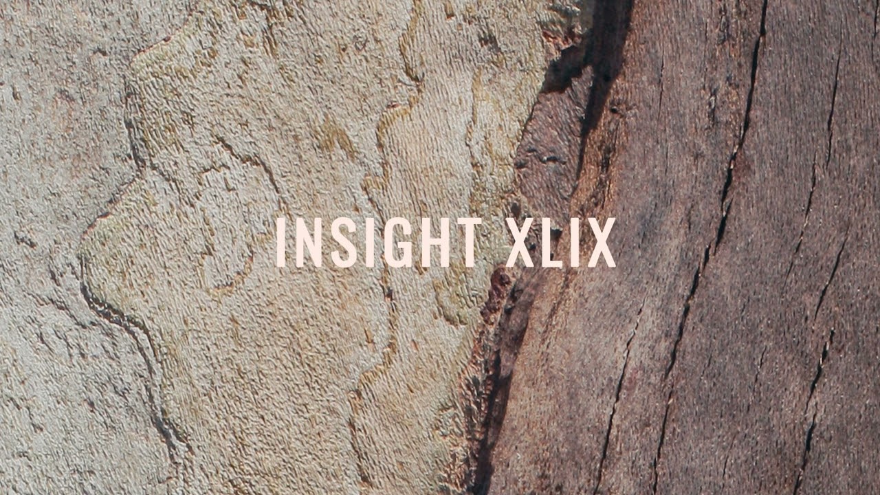 Julien Marchal - Insight XLIX (Official Audio)