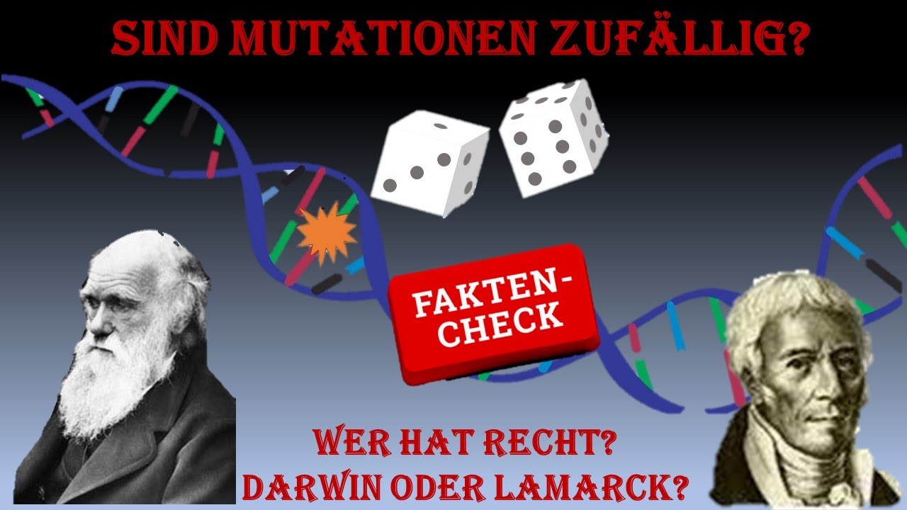 Sind Mutationen zuf&auml;llig? (Oder hat Lamarck recht?)