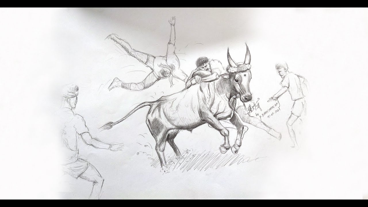 JALLIKATTU DRAWING 2021 | PONGAL CELEBRATION | HOW TO DRAW JALLIKATTU CONCEPT | TIMELAPSE