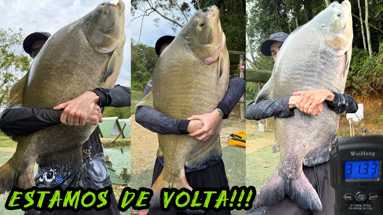 S&Oacute; BAGU&Aacute; NA B&Oacute;IA P&Atilde;O!!! ESTAMOS DE VOLTA!!!