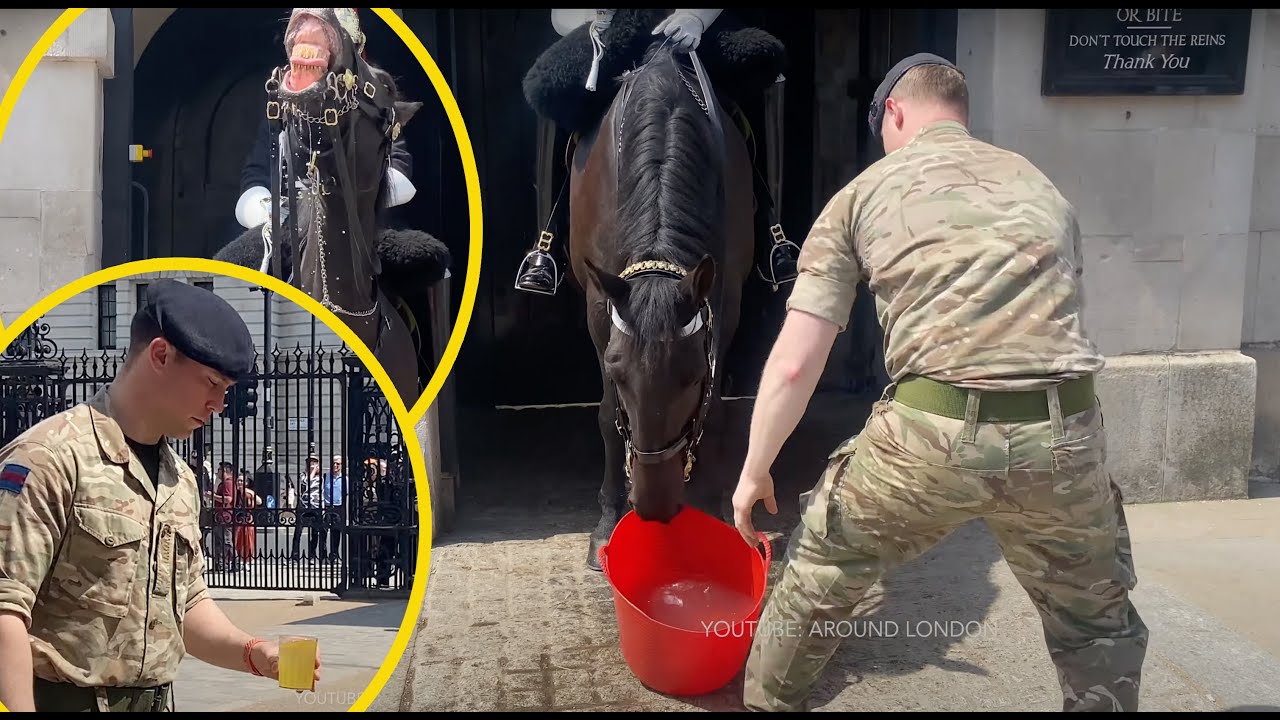 King's Horse LAUGHS and TEASES Trooper!! WATER for Guard and Horses on a HOT DAY!!