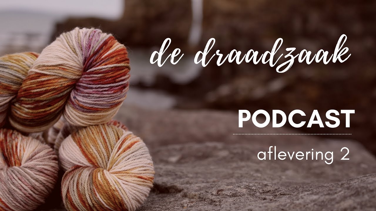 Afl. 2: Over Hollands Handwerkgeluk en een shopupdate