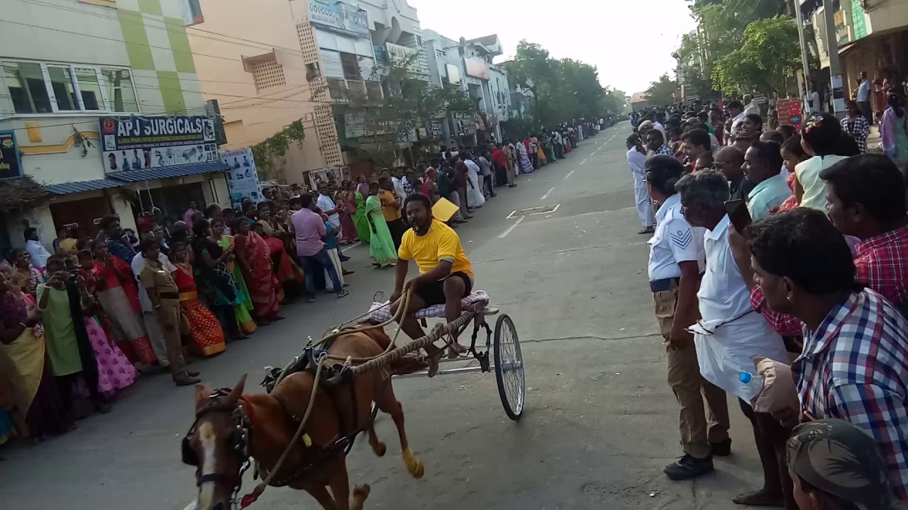 #Thiruvarur #Pongal #Race #திருவாரூர் #பொங்கல்விழா