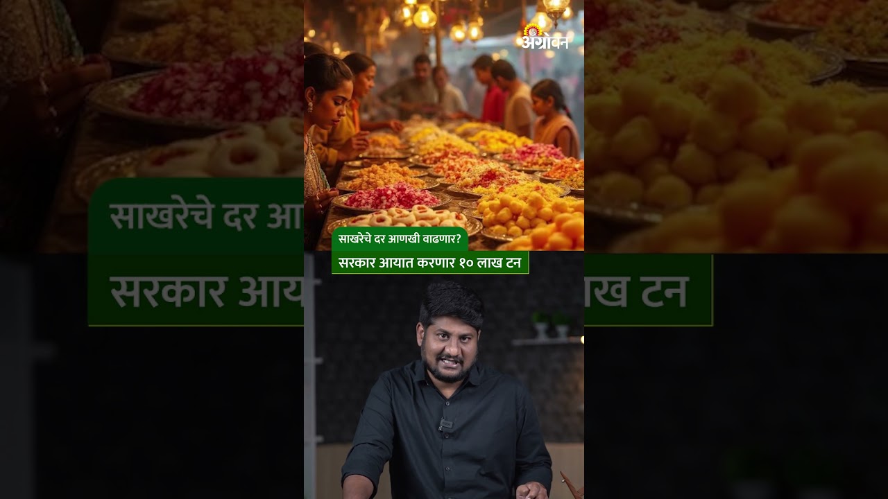 Sugar Import : साखरेचे दर ४०% वाढले; सरकारच्या १० लाख टन शुल्कमुक्त आयातीचा काय परिणाम होणार?
