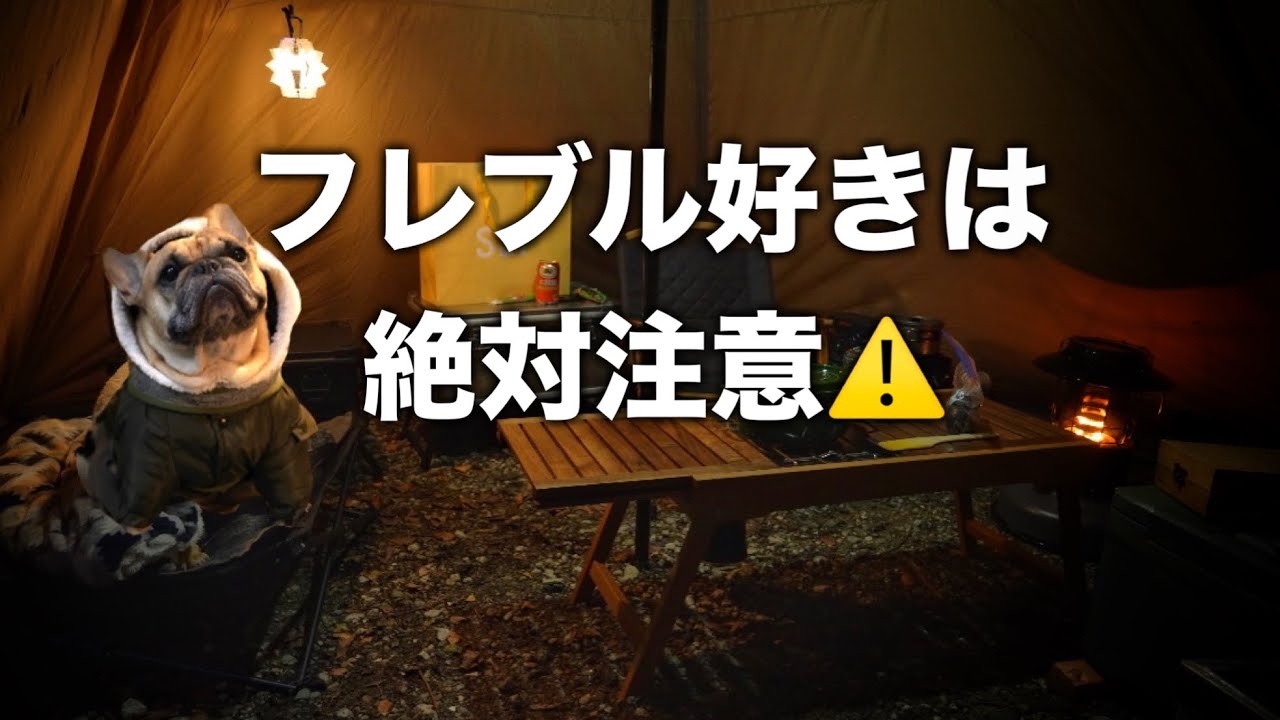 【フレブル好き必見】フレンチブルドッグの可愛い仕草満載でフレブル中毒・犬連れキャンプ