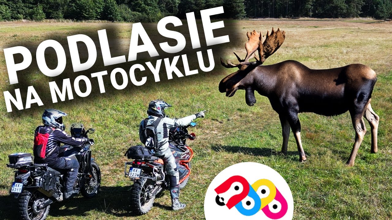 Podlasie na motocyklu.  Bezkluczykowa CRF1100, łoś i Żuki. Z wizytą u 