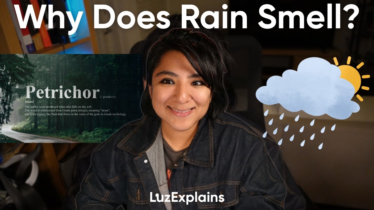 Why Does Rain Smell?