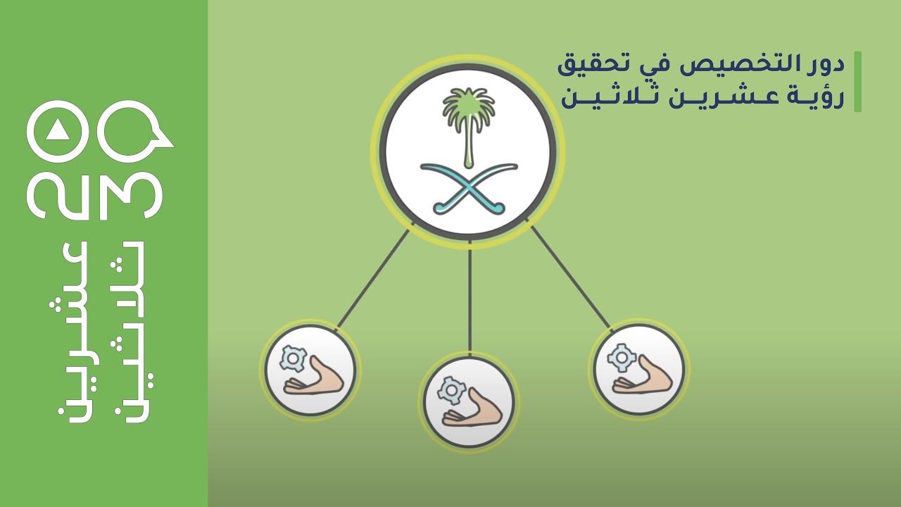 عشرين ثلاثين - أنواع الخصخصة و القطاعات المستهدفة في التخصيص