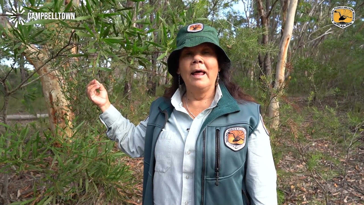 Ep 7: Coastal Wattle | Bush Tucker with Auntie Deidre (2020)