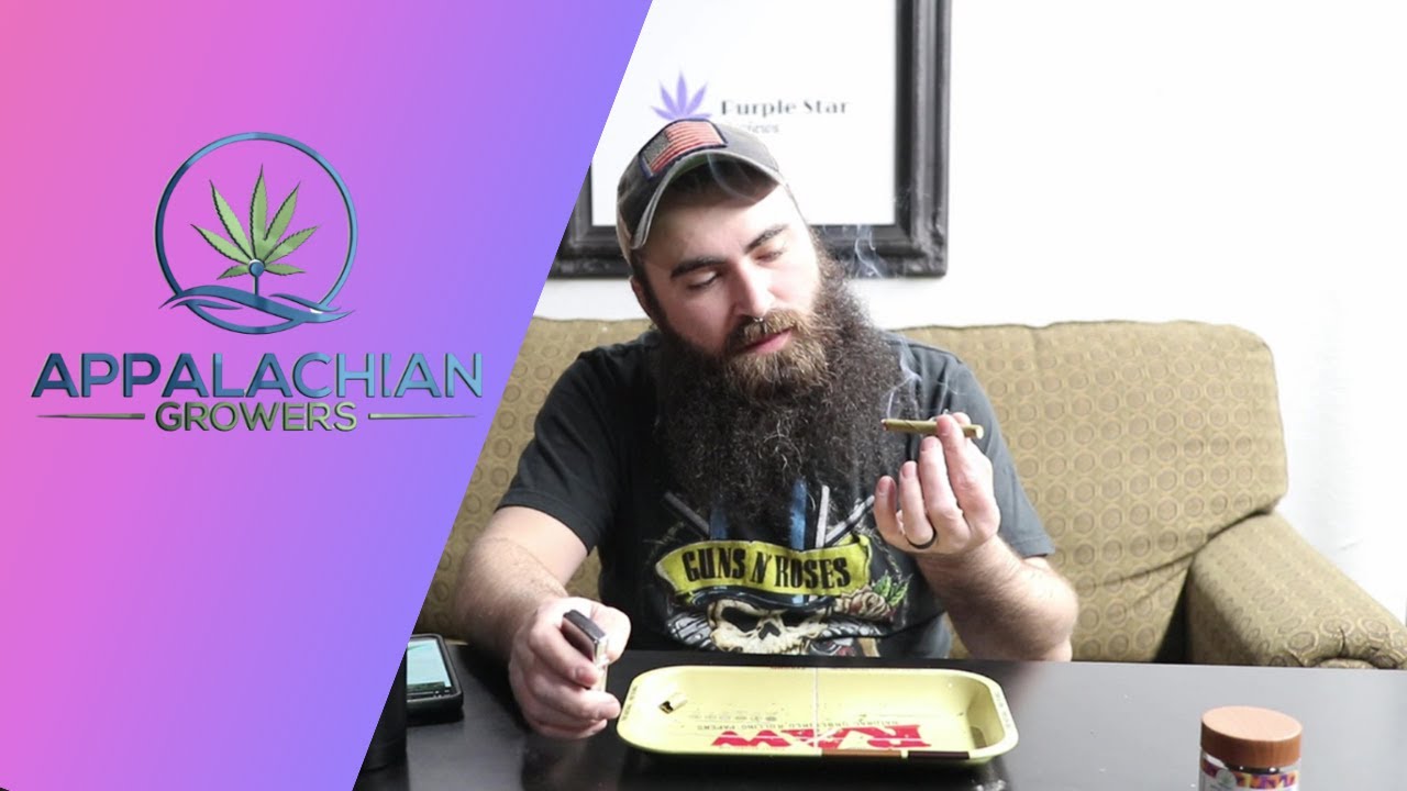 Appalachian Growers Review - SMOKING SUVER HAZE - Purple Star Reviews