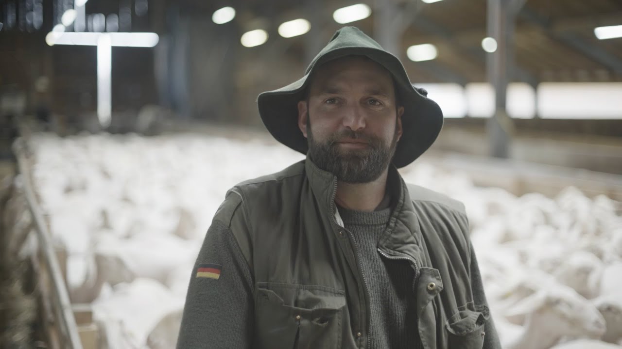 Schafe scheren in der Schäferei Fröwis 2022