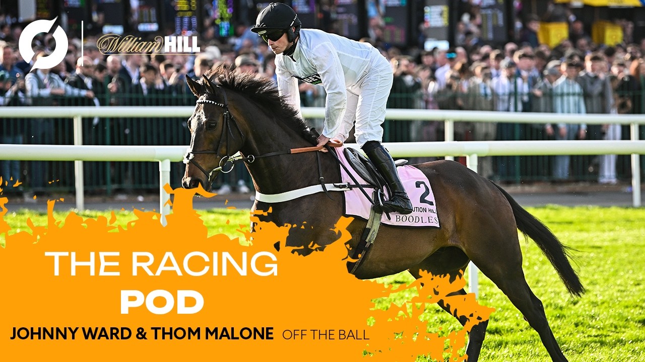 The Racing Pod: На Constitution Hill не будет забега Champion Hurdle | 