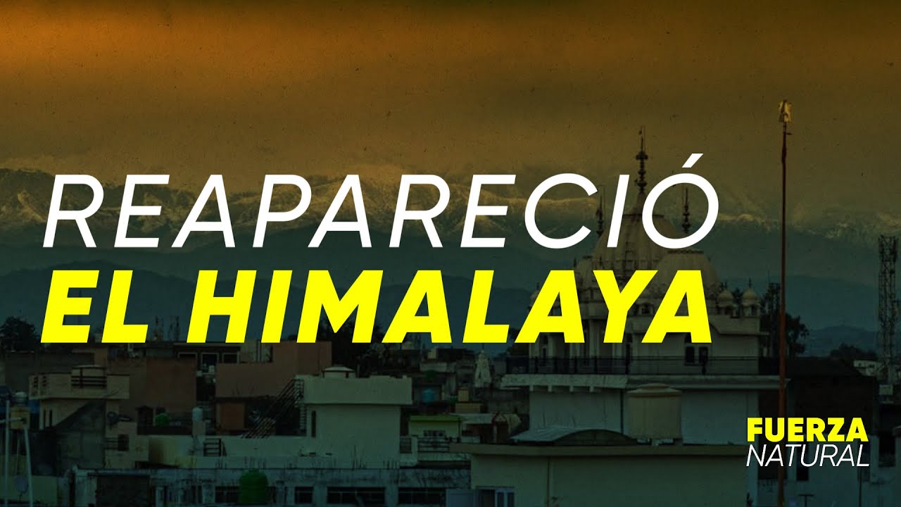 EFECTO CORONAVIRUS: REAPARECIÓ EL HIMALAYA - #FuerzaNatural
