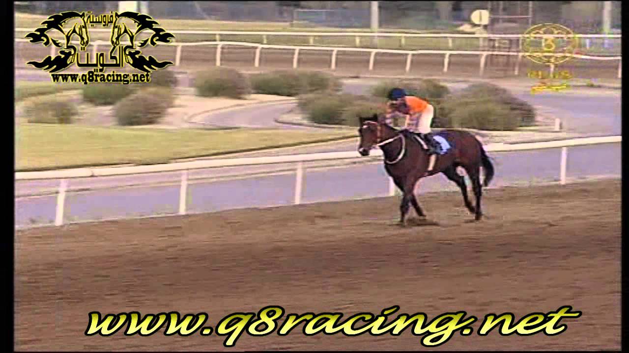 الجواد نصر التحرير