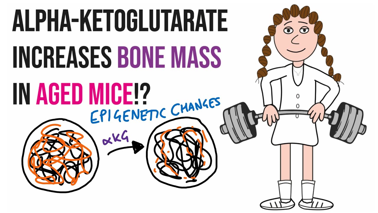 AKG prevents age-related bone loss? (& free giveaway)