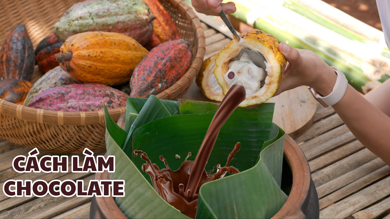 Làm Chocolate Từ Quả Cacao