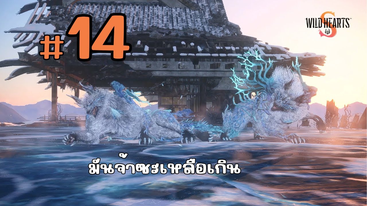 ความพยายามอยู่ที่ไหน #14 | WILD HEARTS S