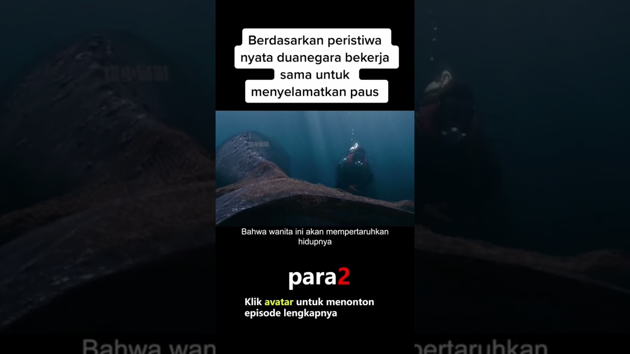 #infofilm #movie #film #reviewfilm #filmseru #moviereview #potonganfilm #moviehits #hollywood