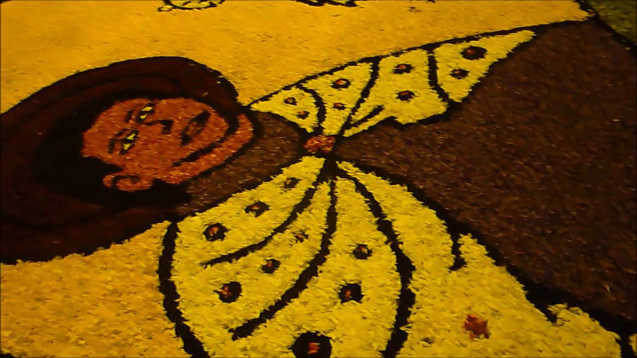 Lira Tarmeña - Paloma Blanca