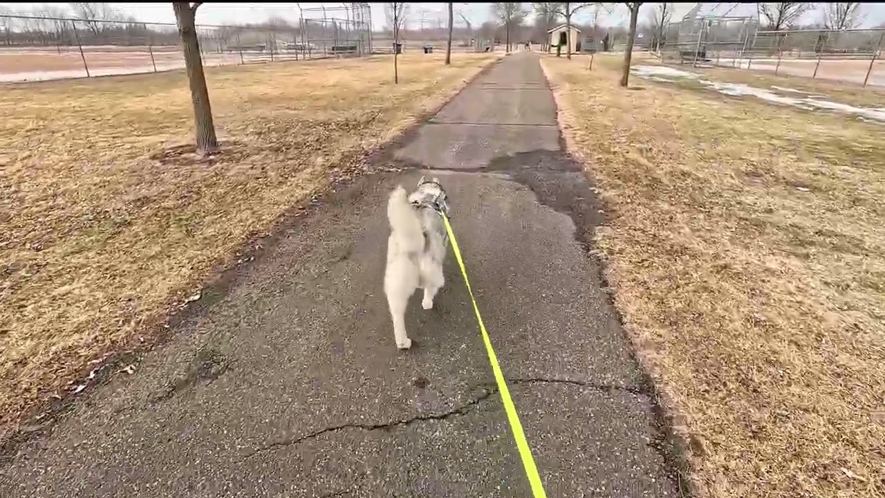 22  Walking with Hailey